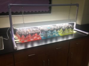 6.5 blog photo 2